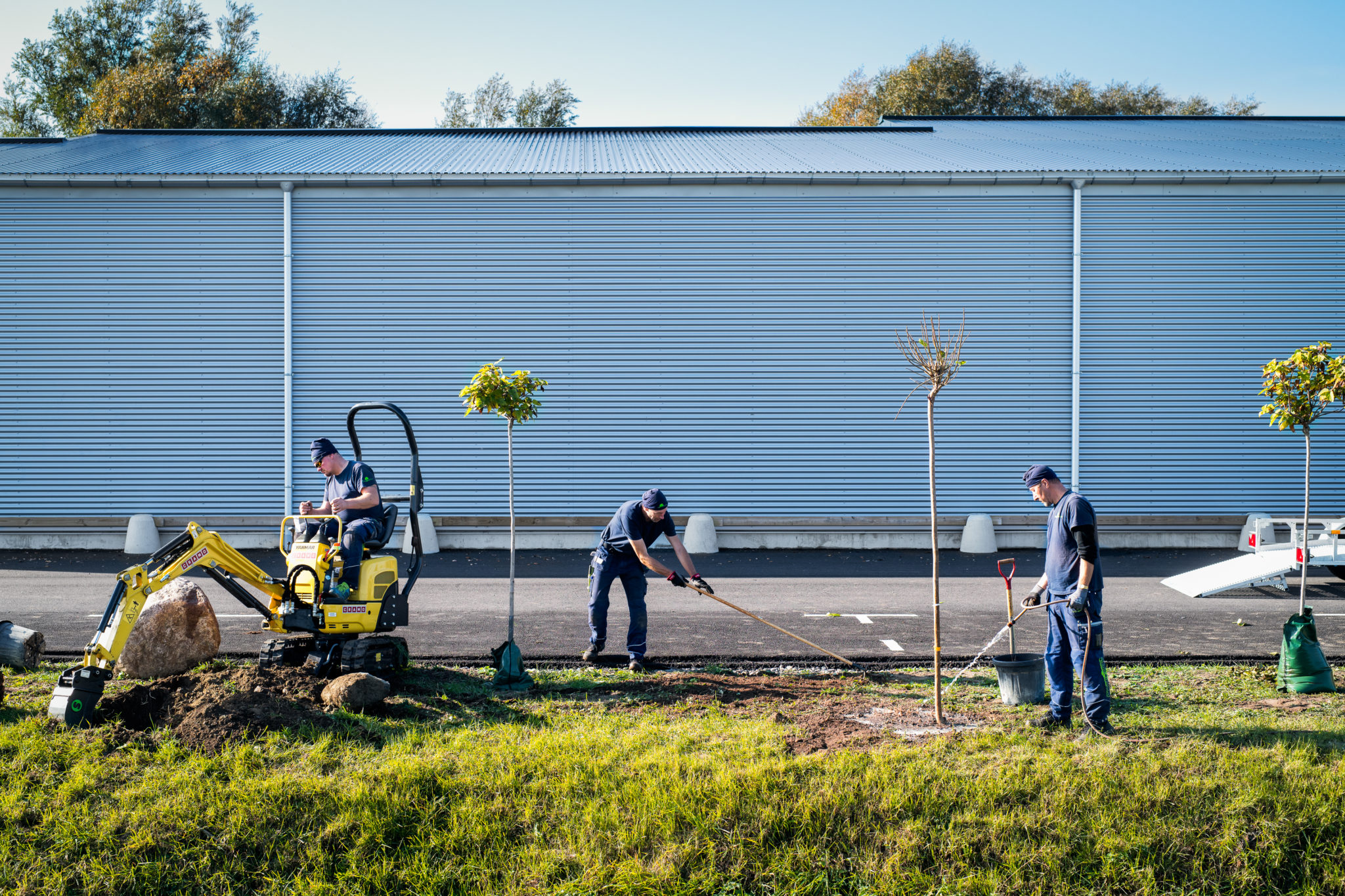 Markarbete med minigrävare och nyplanterade träd utanför en kommersiell fastighet